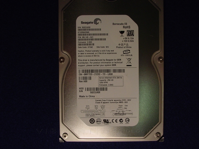 Dell ST3250620NS