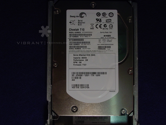 Dell ST3300555SS-R2