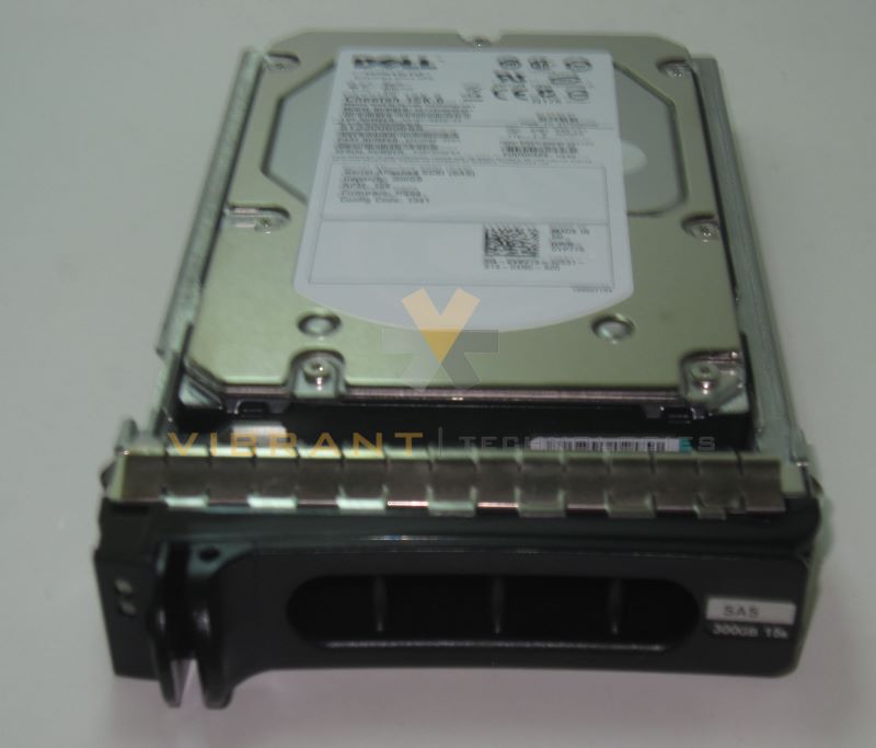 Dell ST3300656SS