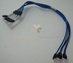 Dell D6841 Poweredge 700 4 drop SATA Cable Kit